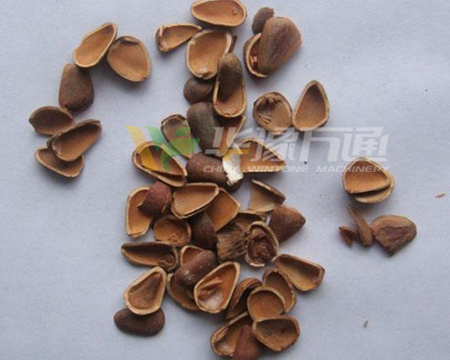 巴基斯坦松子脱壳成套设备 巴基斯坦松子脱壳成套设备